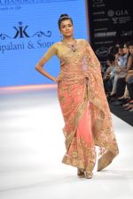 Model walks the ramp for Kriplani & Sons Show at IIJW Day 4 on 22nd Aug 2012 (90).JPG